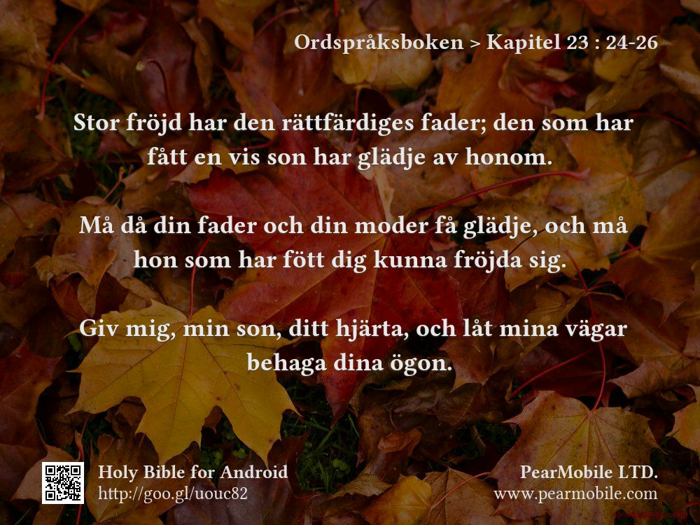 Ordspråksboken, Kapitel 23:24-26